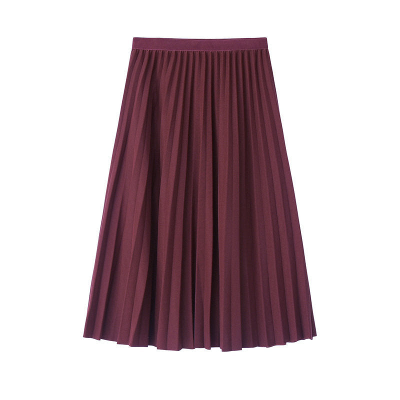 New Pleated Skirt