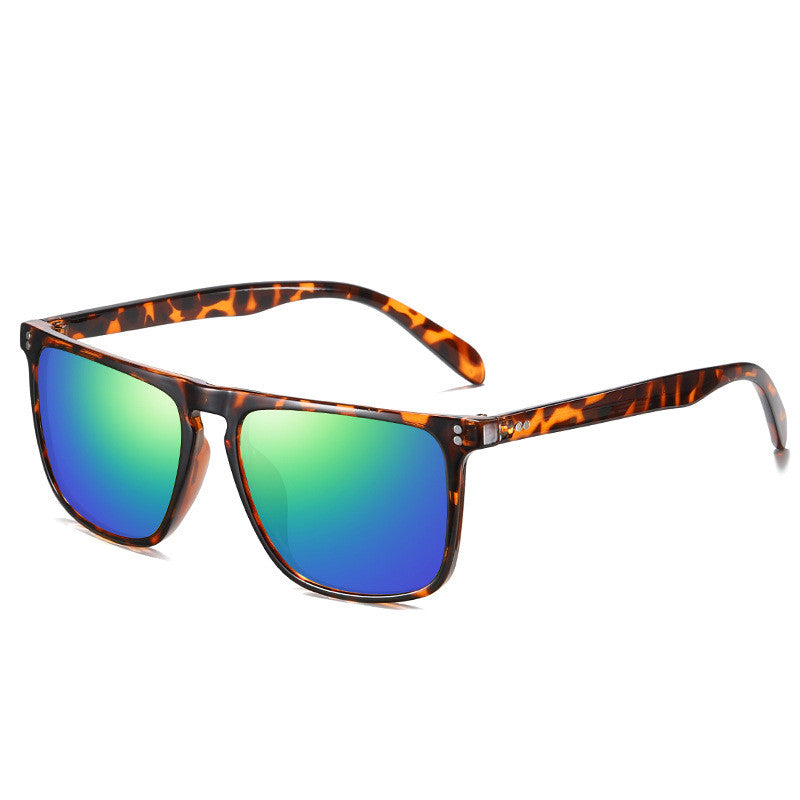 Polarized sunglasses lens detail