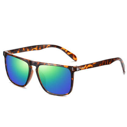 Polarized sunglasses lens detail
