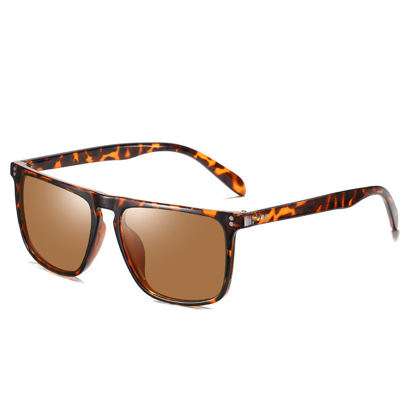 Polarized sunglasses pair view